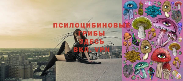 МДПВ Алзамай